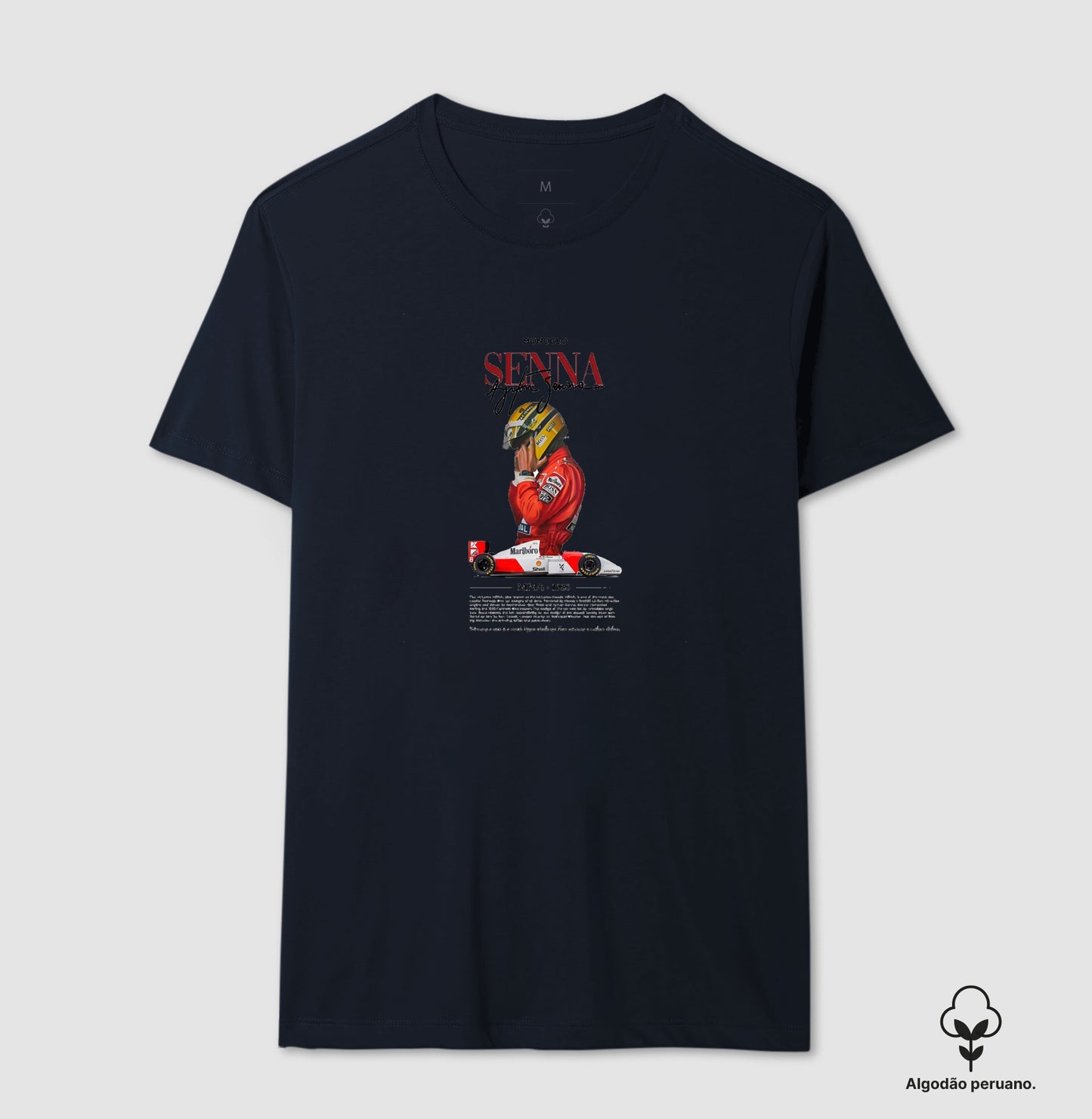 F1 SENNA 2