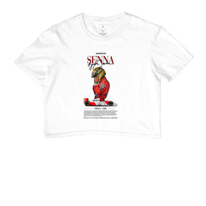 F1 SENNA 2