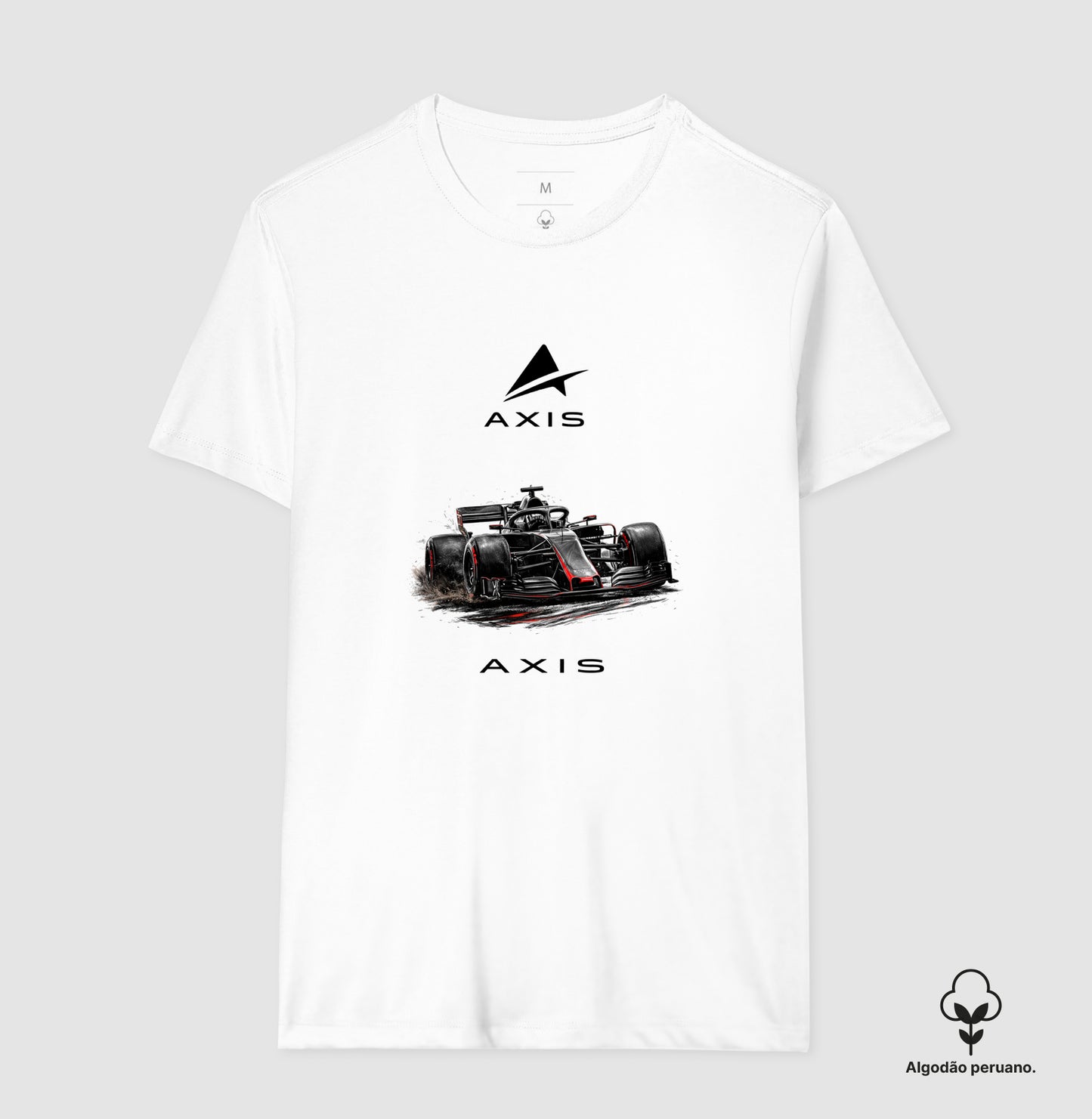 AXIS F1