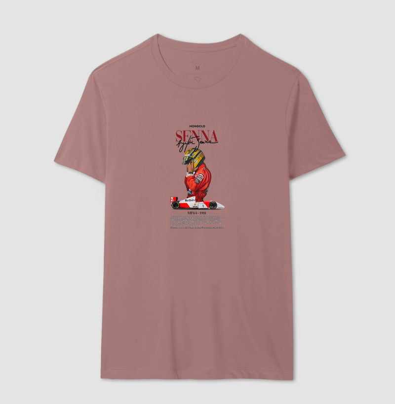 F1 SENNA 2