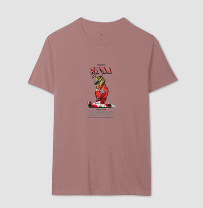 F1 SENNA 2