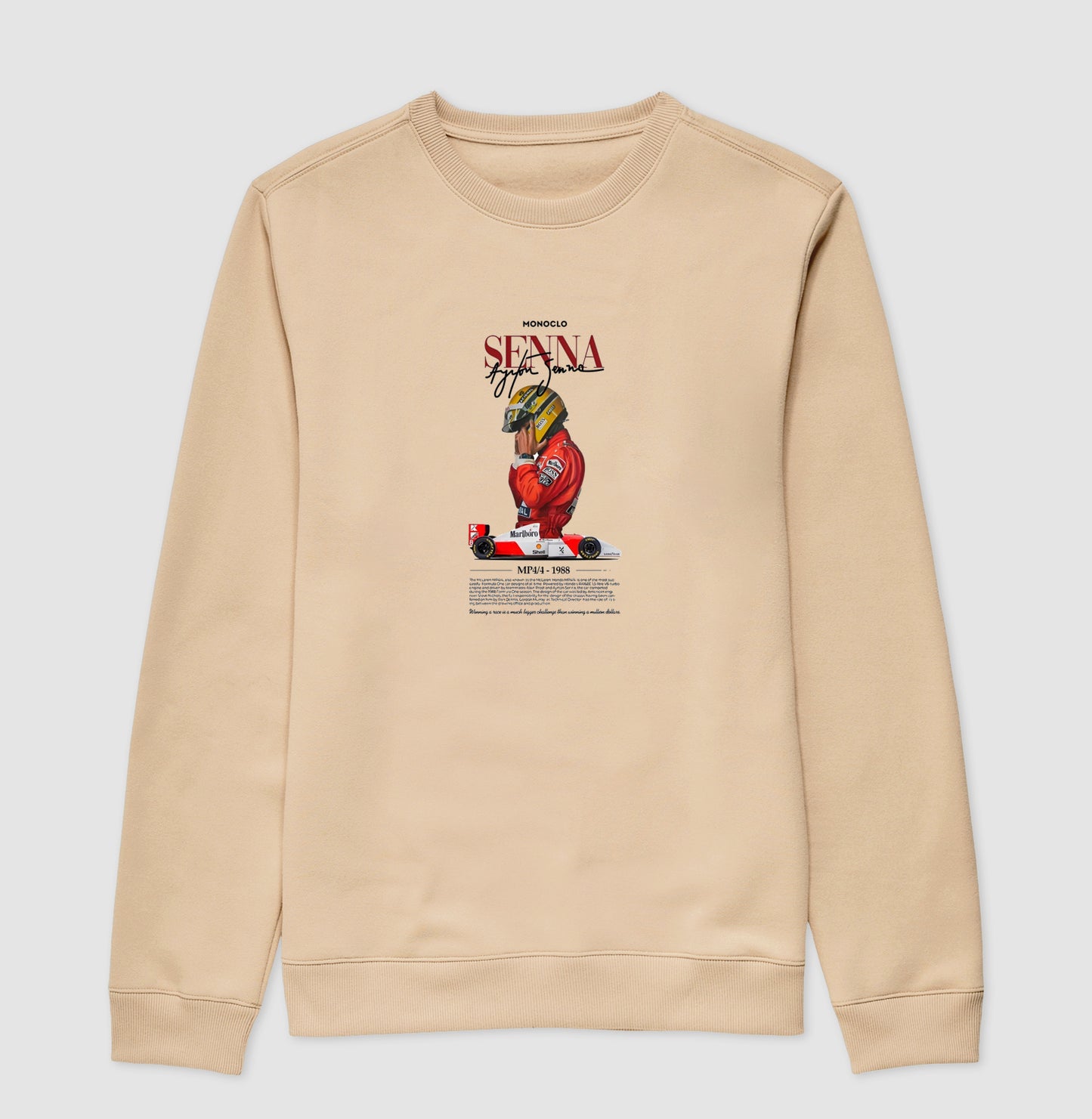 F1 SENNA 2