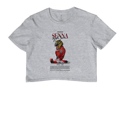 F1 SENNA 2