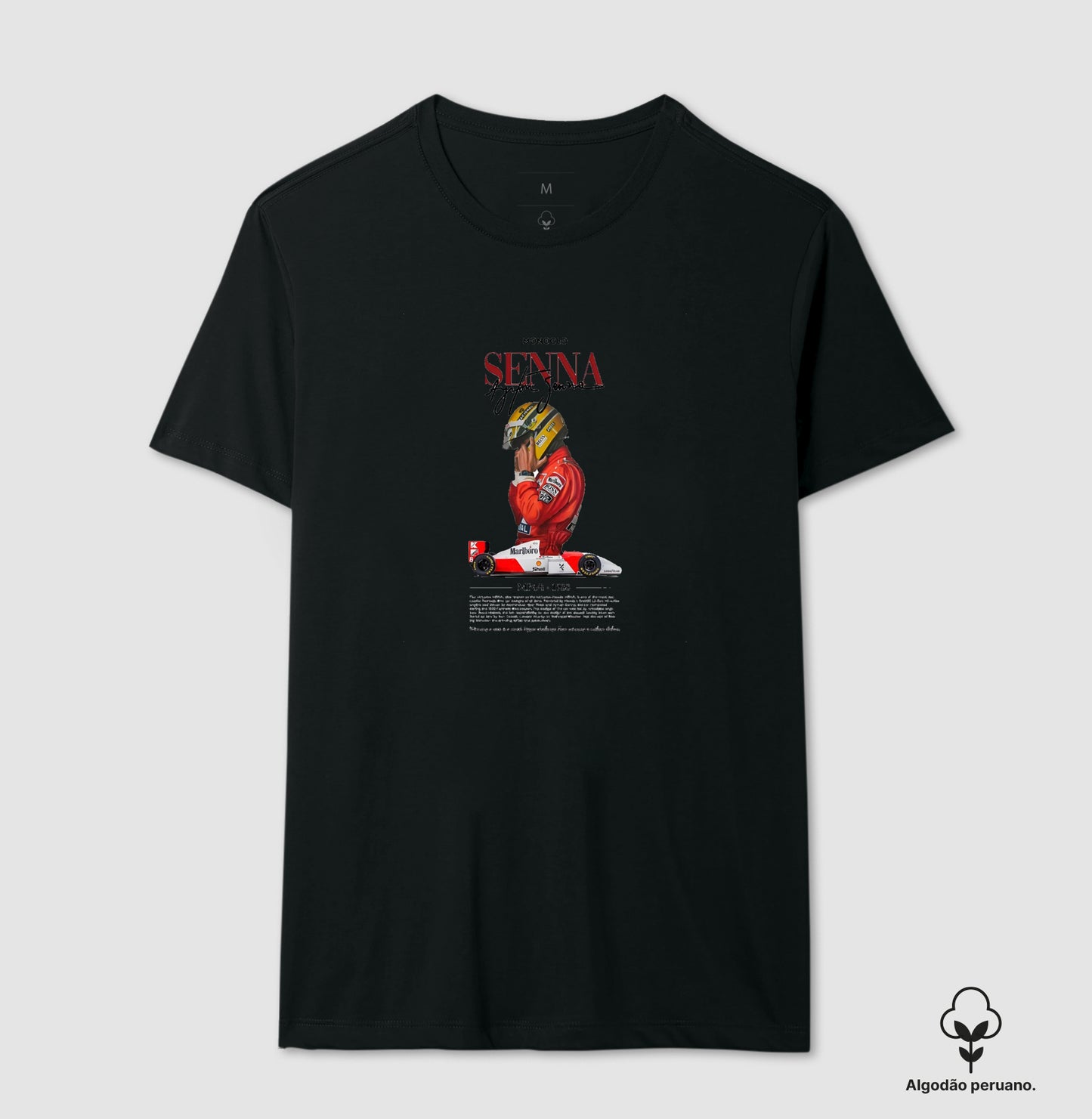 F1 SENNA 2