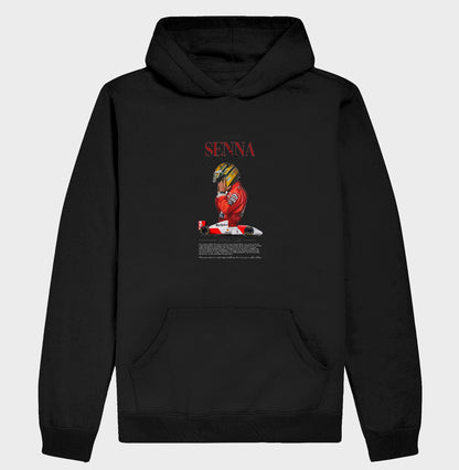 F1 SENNA 2