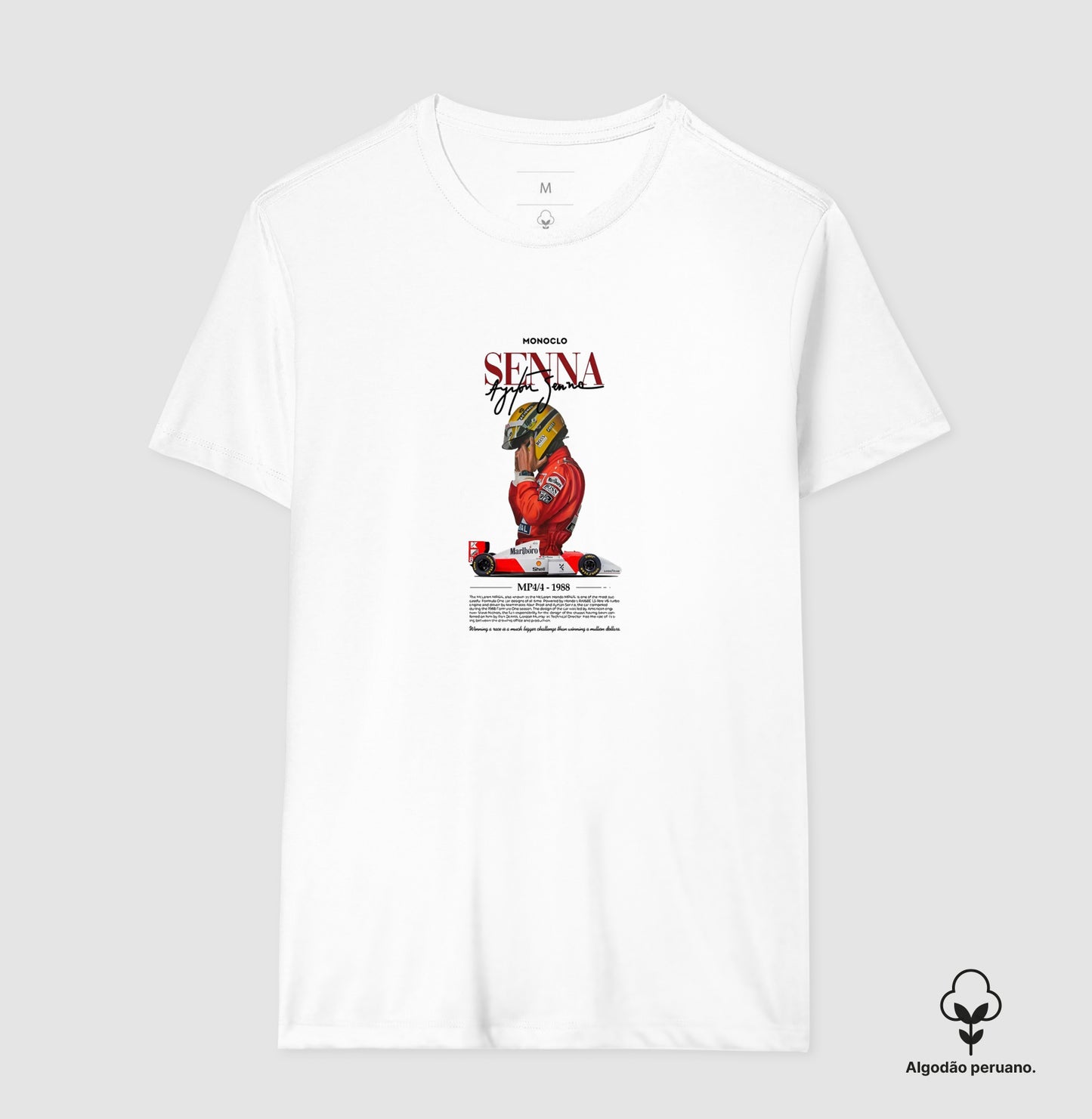 F1 SENNA 2